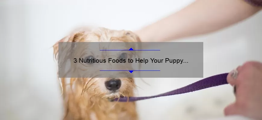 3 Nutritious Foods To Help Your Puppy Gain Weight Kingbuiltbullies 