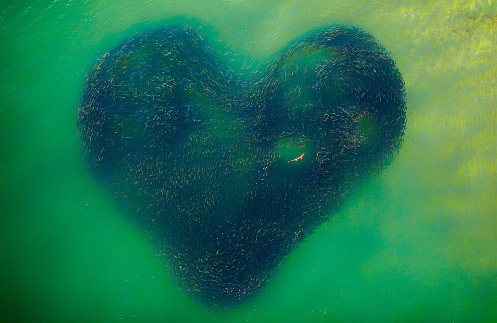 Love Heart of Nature ©Jim Picôt / droneawards.photo