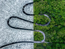 Weather Snake @WIRED / Twitter.com