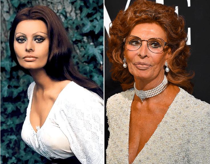 Sophia Loren - Then and Now | Hollywood celebrities, Celebrities, Sophia loren