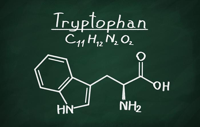 Tryptophan in animal feed: expensive, functional | Feed Strategy