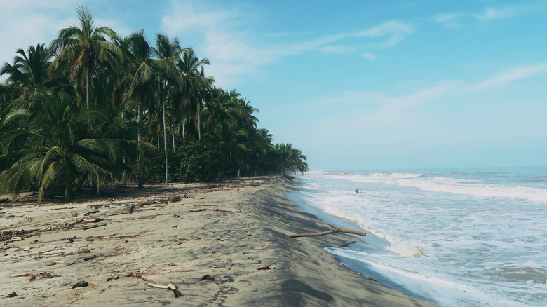 Colombia's Palomino Beach