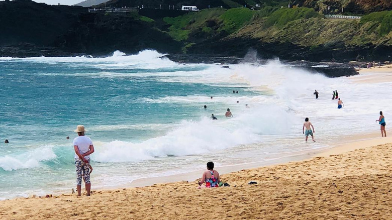 Sandy Beach Park roaring surf